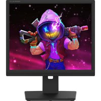 19" VGA Refurb Monitor FT-500MS